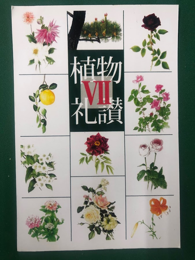 亀井良子ボタニカルアートグループ総合展